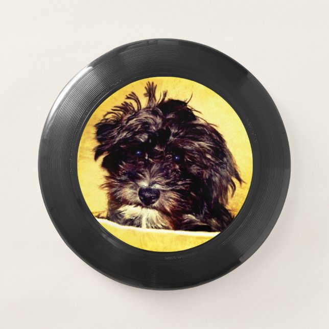 Schnoodle Dog Wham-O Frisbee (Front)