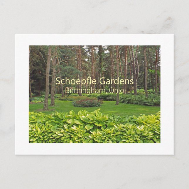 SCHOEPFLE GARDEN (OHIO) POSTCARD (Front)