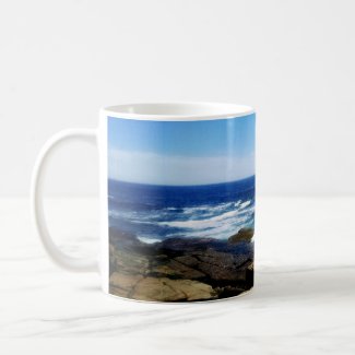Schoodic Point