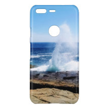 Schoodic Point Google Phone Cases