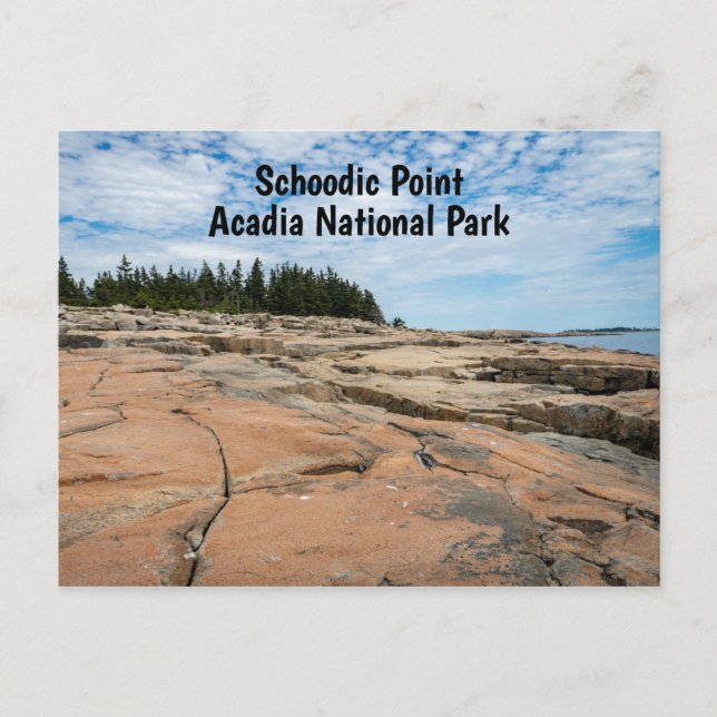 Schoodic Point in Acadia National Park in Maine Postcard (Front)