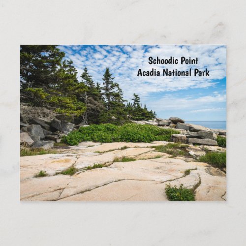 Schoodic Point in Acadia National Park in Maine Postcard