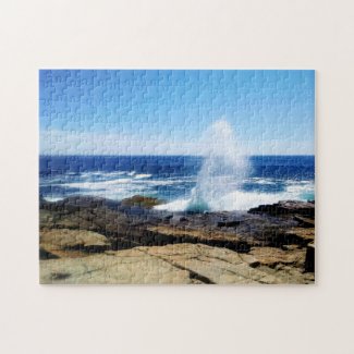 Schoodic Point