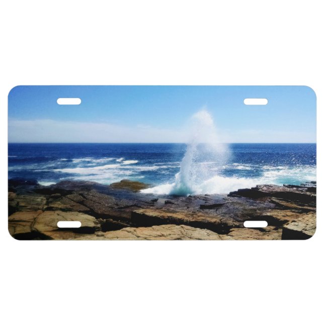 Schoodic Point License Plate (Front)