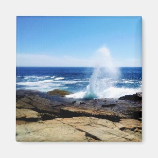Schoodic Point