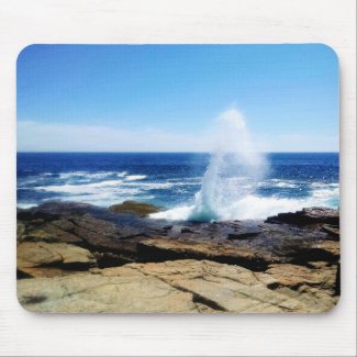 Schoodic Point
