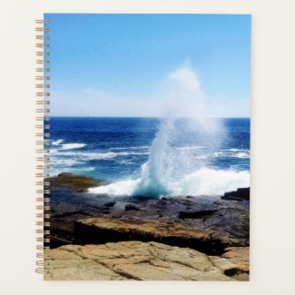 Schoodic Point