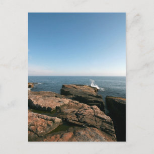 Schoodic Point Postcard