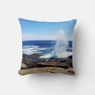 Schoodic Point