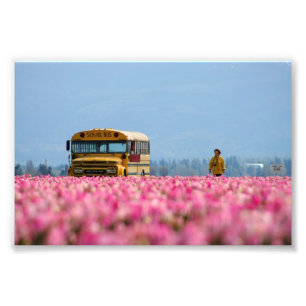 School Bus, Magic Bus. Photo Print