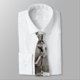 School days neck tie