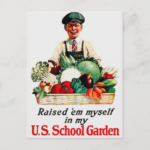 School Garden Postcard