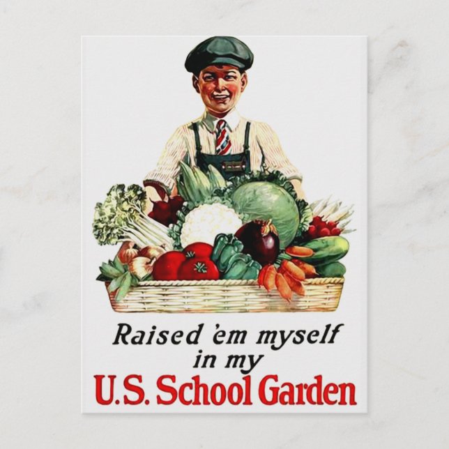 School Garden Postcard (Front)