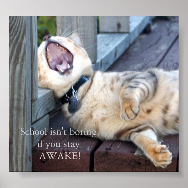 School Isn't Boring Poster (Front)