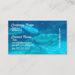 School of Dolphins Business Cards