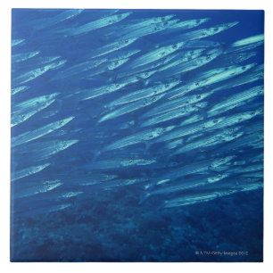 School of Fish 11 Tile