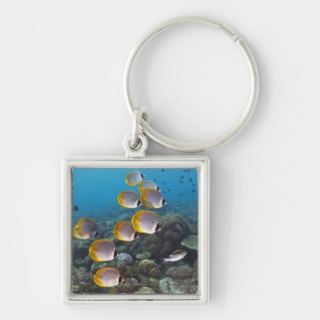 School of Fish 2 Keychain (Front)