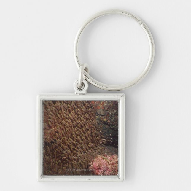 School of Fish 2 Keychain (Front)