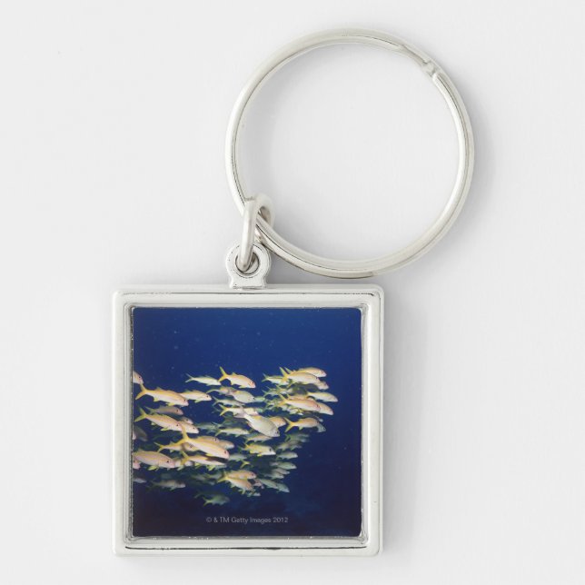 School of Fish 8 Keychain (Front)