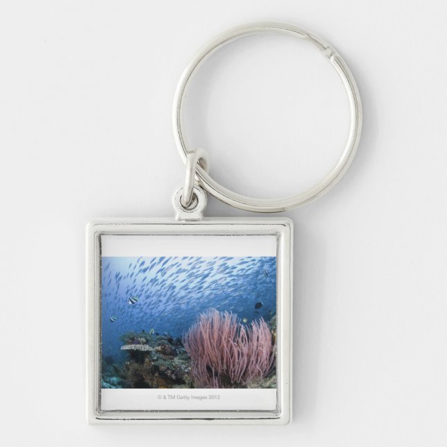 School of fish above reef keychain (Front)