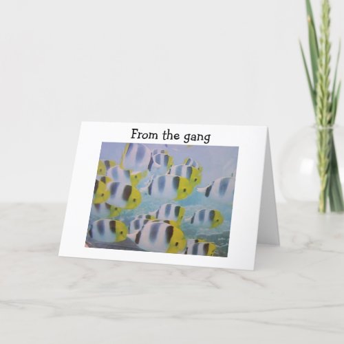 SCHOOL OF FISH FROM THE GANG BIRTHDAY GREETINGS CARD