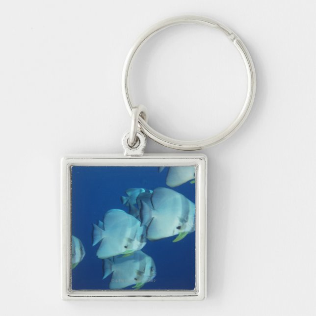 School of Fish Keychain (Front)