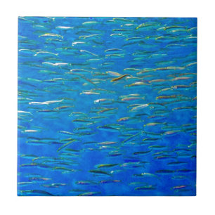 School of fish tile