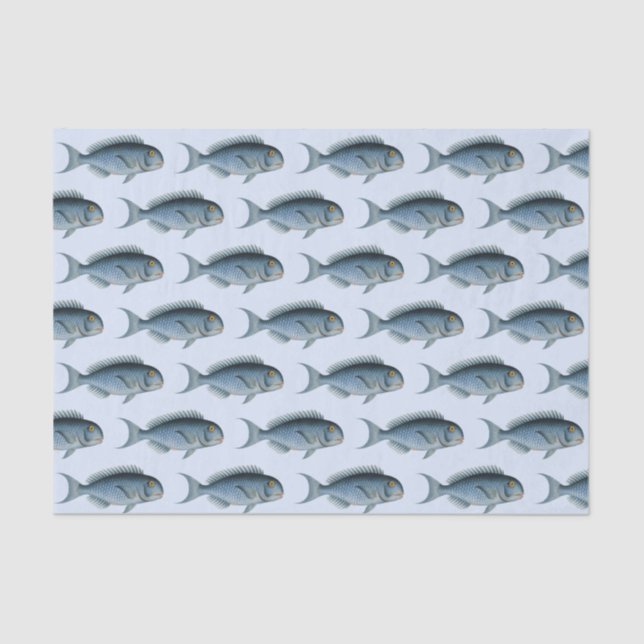 School of Fish Vintage Tissue Paper (Front)