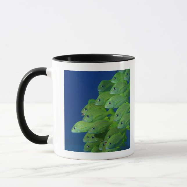 School of french bluestriped and margate grunts mug (Left)