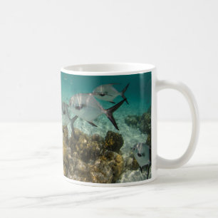 School of Permit Fish Coffee Mug