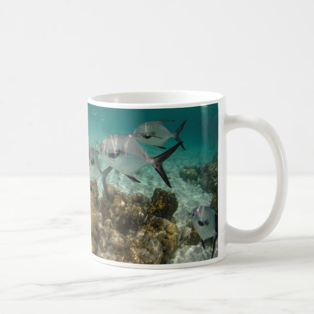 School of Permit Fish Coffee Mug (Right)