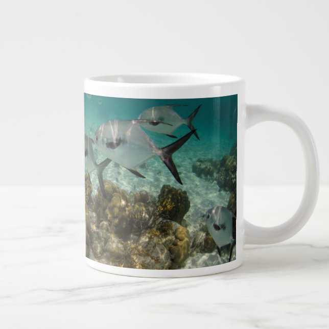 School of Permit Fish Giant Coffee Mug (Right)