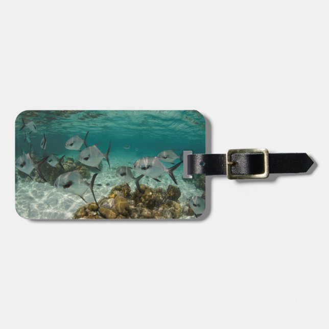 School of Permit Fish Luggage Tag (Front Horizontal)