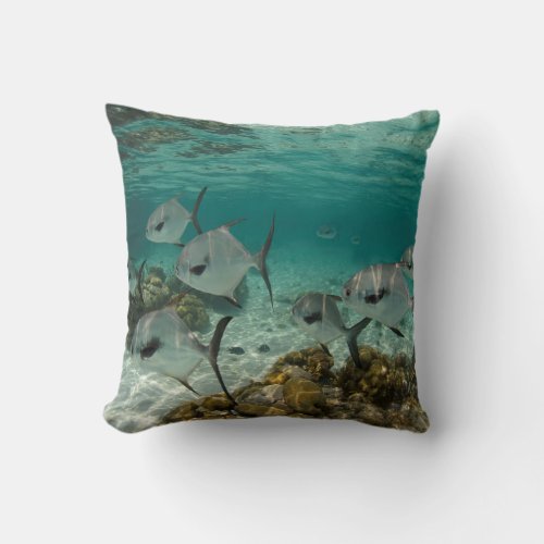 School of Permit Fish Throw Pillow