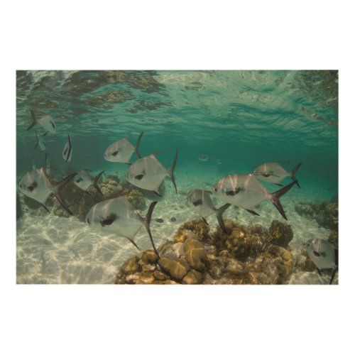 School of Permit Fish Wood Wall Art