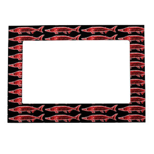 school of red sturgeons magnetic picture frame