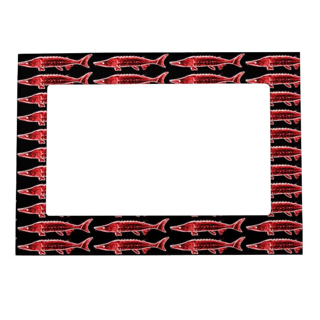 school of red sturgeons magnetic picture frame (Front)