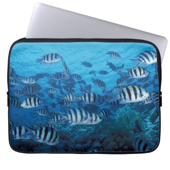 School Of Striped Fish Laptop Sleeve by iPadGear at Zazzle