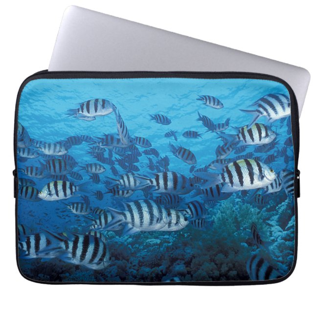 School of Striped Fish Laptop Sleeve (Front)