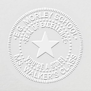 School Teacher You’re a Star Seal of Excellence Embosser