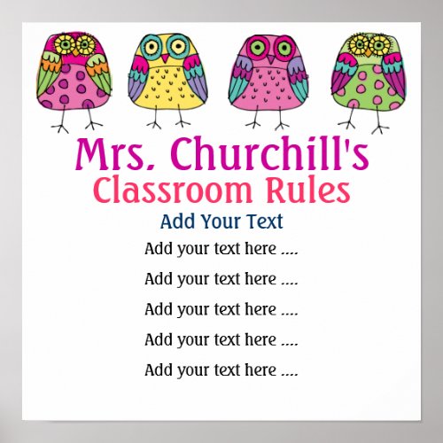 School Teachers Classroom Rules LG by SRF Poster