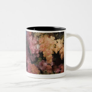 Schooling Fairy Basslets 2 Two-Tone Coffee Mug
