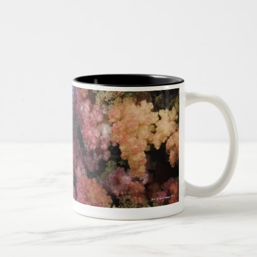 Schooling Fairy Basslets 2 Two_Tone Coffee Mug