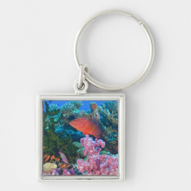 schooling Fairy Basslets  (Pseudanthias Keychain (Front)