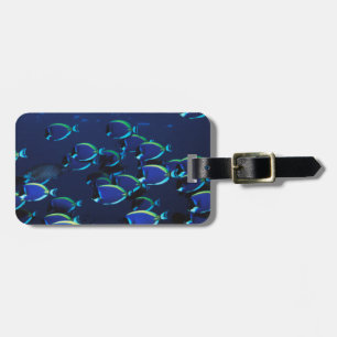 Schooling Powder Blue Surgeonfish Luggage Tag