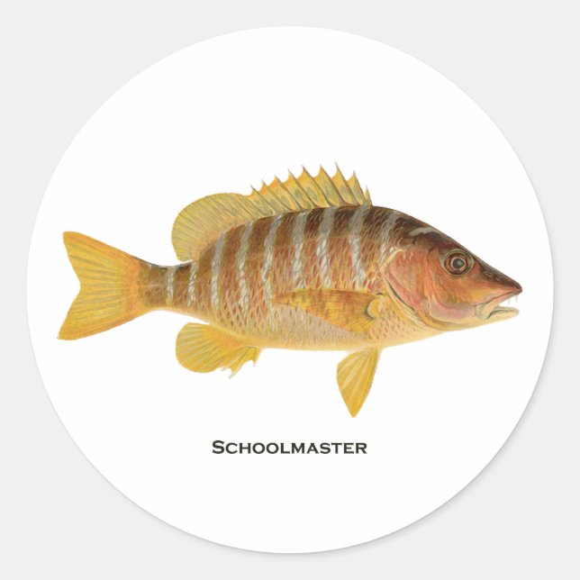 Schoolmaster Fish Logo Classic Round Sticker (Front)