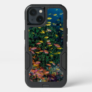 Schools of Fish Swim in Reef iPhone 13 Case