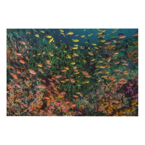 Schools of Fish Swim in Reef Wood Wall Decor