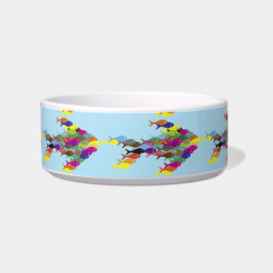 Schools of fish  Thunder_Cove  Bowl