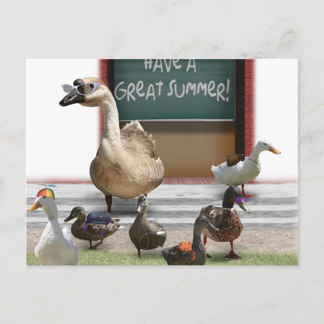 School's Out, Little Ducklings with Teacher Goose Postcard (Front)